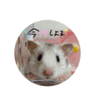 歴代ペットたち（個別スタンプ：8）