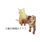 なな＆ろく（個別スタンプ：8）