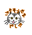 あなたに寄り添うにゃん（個別スタンプ：9）