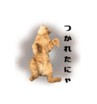 うちのエデンちゃん（個別スタンプ：15）