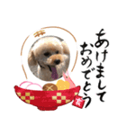 キ・ズ・ナ（個別スタンプ：1）