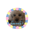 キ・ズ・ナ（個別スタンプ：6）
