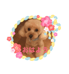 キ・ズ・ナ（個別スタンプ：7）