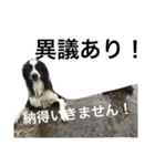 ロイ2（個別スタンプ：6）