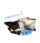 ロイ2（個別スタンプ：15）