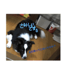 ロイ2（個別スタンプ：16）