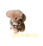 素晴らしきチョコたん（個別スタンプ：2）
