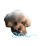 素晴らしきチョコたん（個別スタンプ：3）