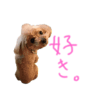素晴らしきチョコたん（個別スタンプ：6）