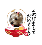 來夢   #1（個別スタンプ：1）