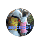 來夢   #1（個別スタンプ：2）