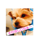 來夢   #1（個別スタンプ：5）