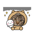 猫ちゃんと純一郎（個別スタンプ：9）