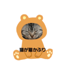 猫ちゃんと純一郎（個別スタンプ：10）