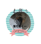 猫ちゃんと純一郎（個別スタンプ：14）