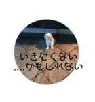 つなまよ（個別スタンプ：6）