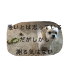 つなまよ（個別スタンプ：7）