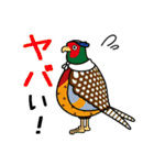 対馬あっぽ隊（個別スタンプ：21）