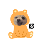 佐藤家のくぅーちゃん（個別スタンプ：3）