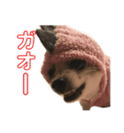 そると@犬（個別スタンプ：2）