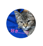 つくしのすたんぷ。〜たまにおともだち〜（個別スタンプ：4）