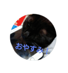 つくしのすたんぷ。〜たまにおともだち〜（個別スタンプ：9）