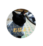 つくしのすたんぷ。〜たまにおともだち〜（個別スタンプ：10）