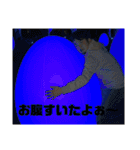 俺が善家だ。2（個別スタンプ：4）