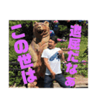 俺が善家だ。2（個別スタンプ：18）