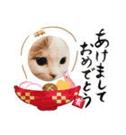 子猫のマシュくん（個別スタンプ：7）