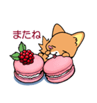 ソマリ猫♡そまりん2（個別スタンプ：6）