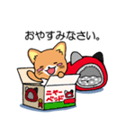 ソマリ猫♡そまりん2（個別スタンプ：10）