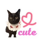 黒猫のくうやん（個別スタンプ：1）