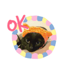 黒猫のくうやん（個別スタンプ：2）