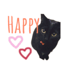 黒猫のくうやん（個別スタンプ：3）