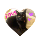 黒猫のくうやん（個別スタンプ：5）