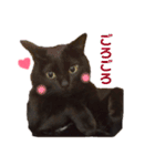 黒猫のくうやん（個別スタンプ：8）