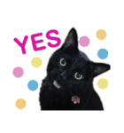 黒猫のくうやん（個別スタンプ：9）