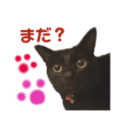 黒猫のくうやん（個別スタンプ：15）