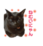 黒猫のくうやん（個別スタンプ：16）