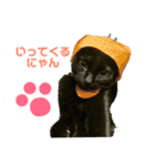 黒猫のくうやん（個別スタンプ：19）