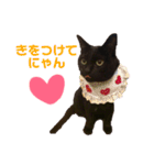 黒猫のくうやん（個別スタンプ：21）