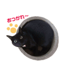黒猫のくうやん（個別スタンプ：23）