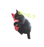 黒猫リュウくん。（個別スタンプ：5）