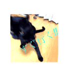 黒猫リュウくん。（個別スタンプ：10）