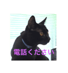 黒猫リュウくん。（個別スタンプ：11）