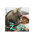 いちごとみかん。となっくん。（個別スタンプ：2）