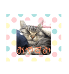 いちごとみかん。となっくん。（個別スタンプ：4）