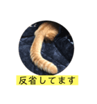 いちごとみかん。となっくん。（個別スタンプ：7）