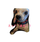 かなぴっぴとマーキュリー（個別スタンプ：6）